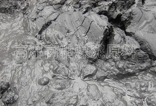 高湿煤泥物料